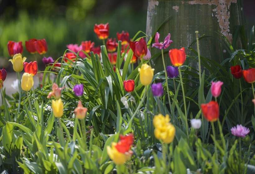 פנסיון Maison Le Village   Maison D’hôtes