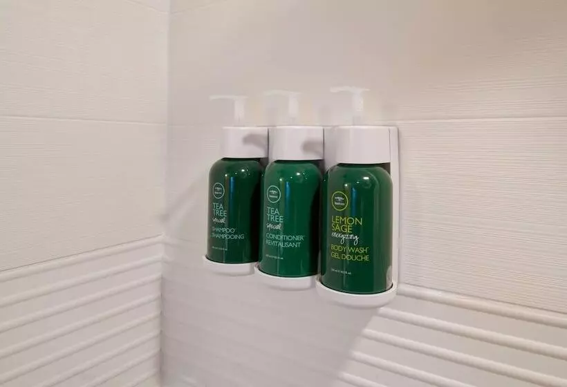 Towneplace Suites By Marriott Grand Rapids Airport