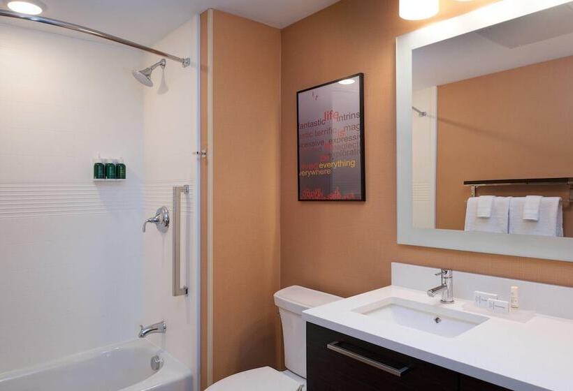 Towneplace Suites By Marriott Grand Rapids Airport