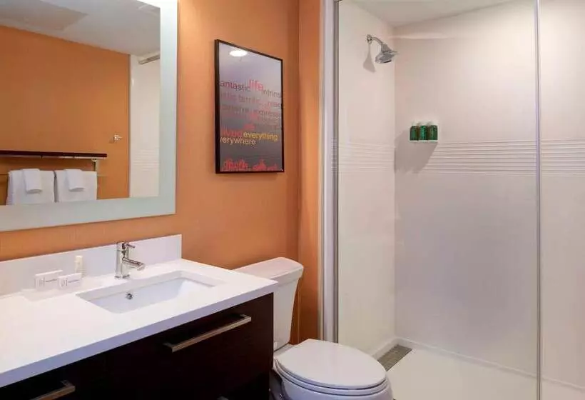 Towneplace Suites By Marriott Grand Rapids Airport
