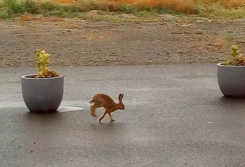 Aamiaismajoitus (B&B) La Jacotiere