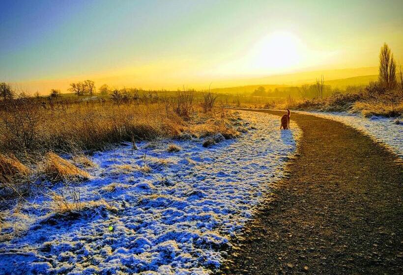 ベッドアンドブレックファースト Wisteria Haze