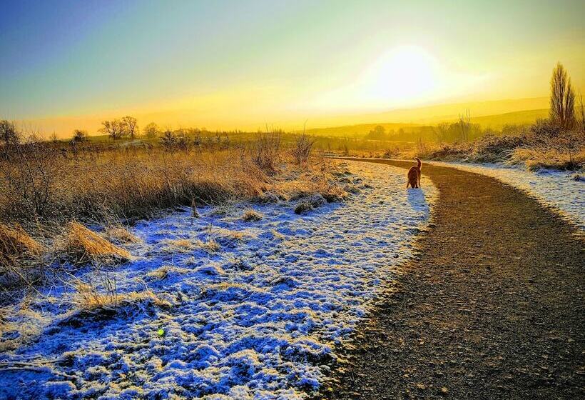 ベッドアンドブレックファースト Wisteria Haze