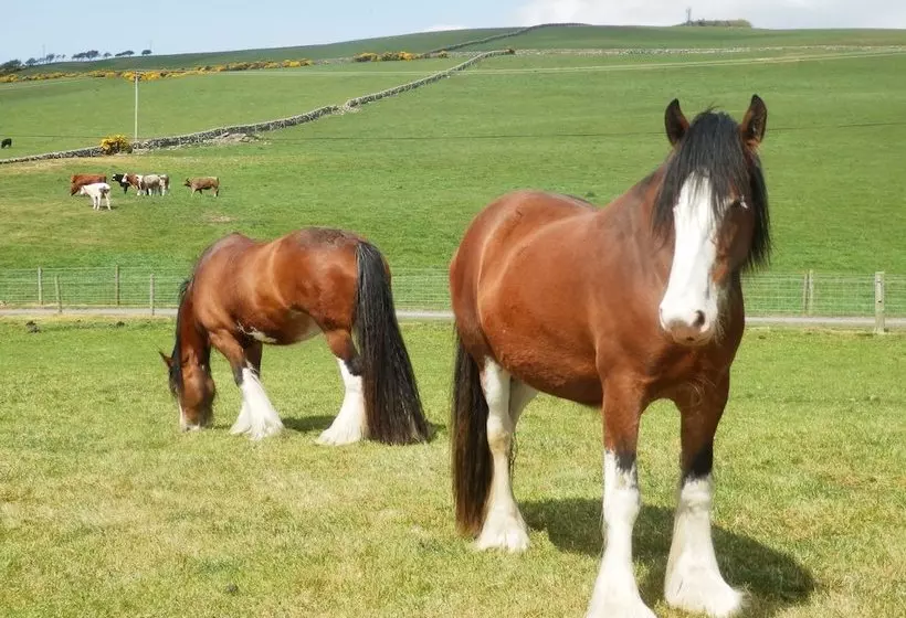East Challoch Farm Bed And Breakfast