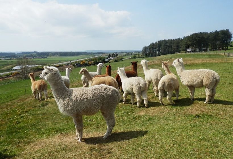 East Challoch Farm Bed And Breakfast