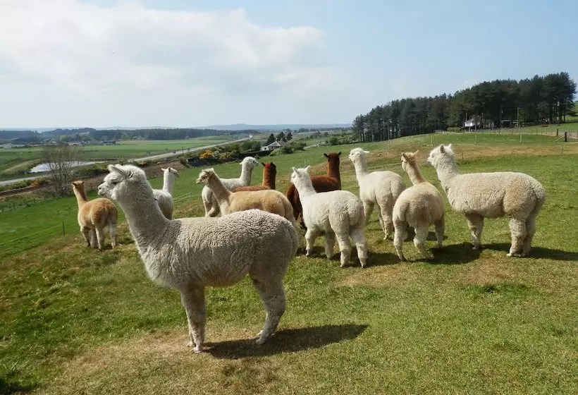 East Challoch Farm Bed And Breakfast