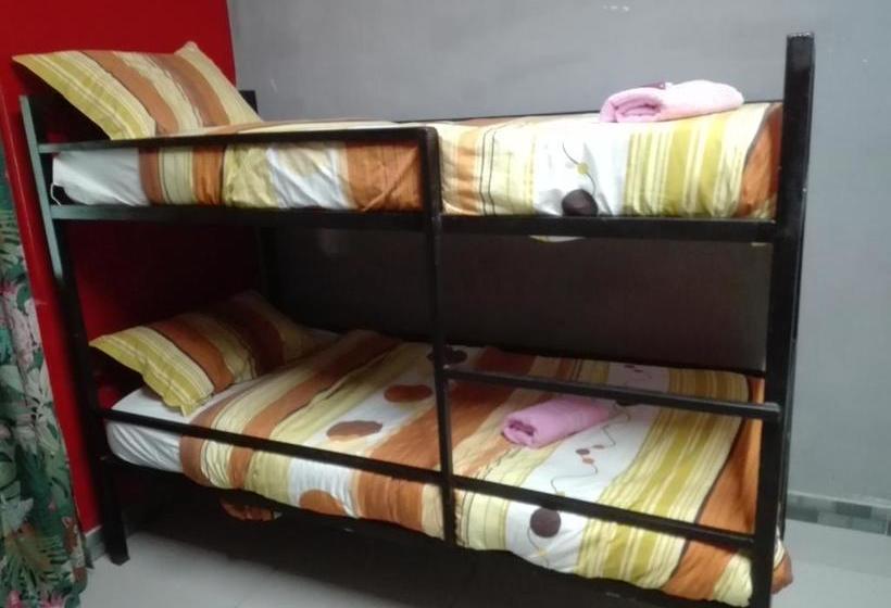 مسافرخانه Fish Eagle Backpackers