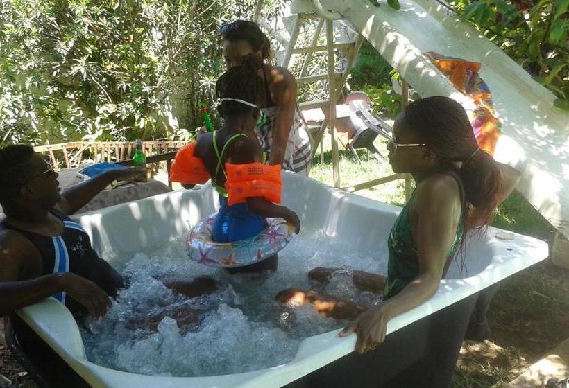 مسافرخانه Fish Eagle Backpackers