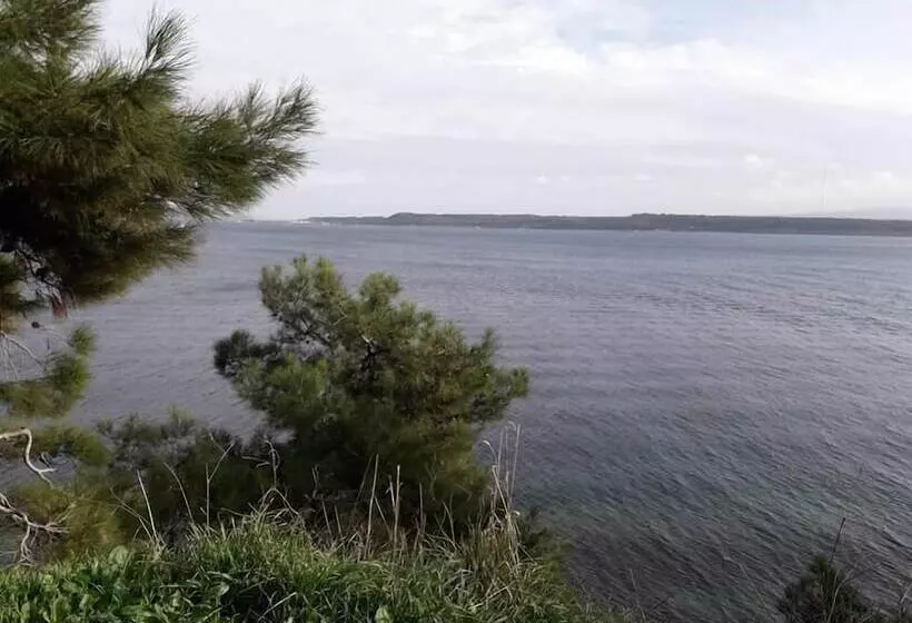 ホテル King Apart Daire