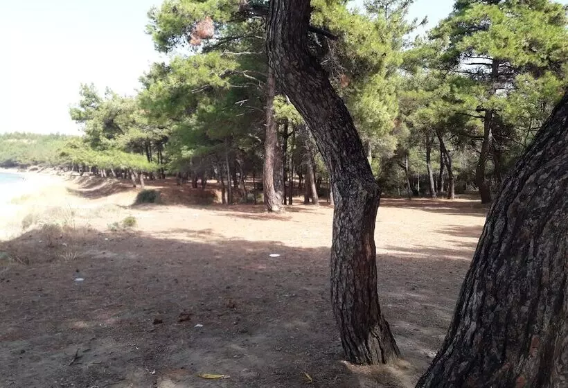 ホテル King Apart Daire