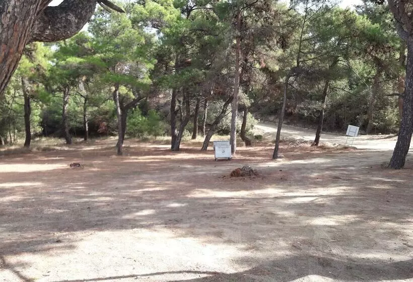 ホテル King Apart Daire