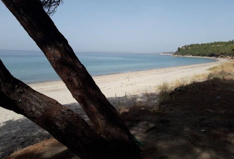 فندق King Apart Daire