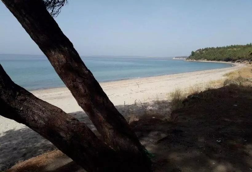 ホテル King Apart Daire