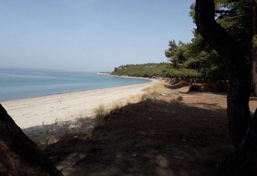 فندق King Apart Daire