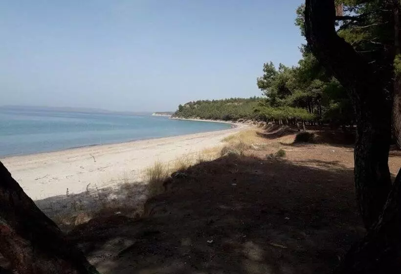 ホテル King Apart Daire