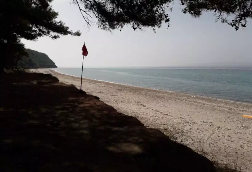 ホテル King Apart Daire