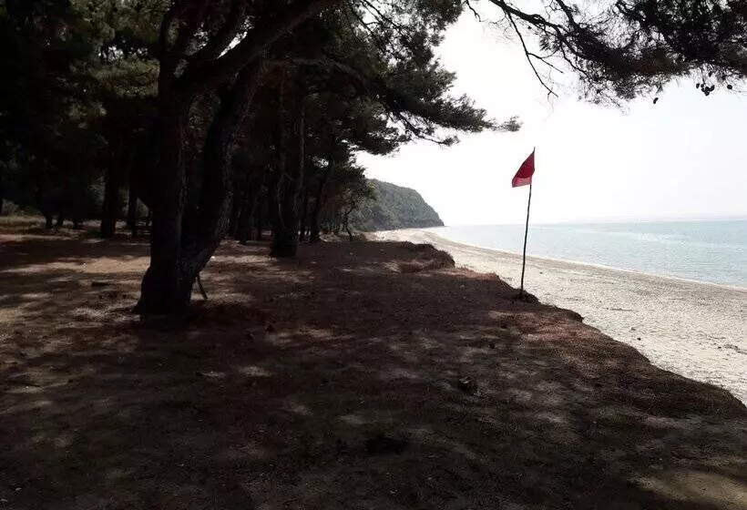 ホテル King Apart Daire