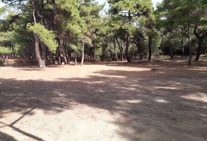 فندق King Apart Daire