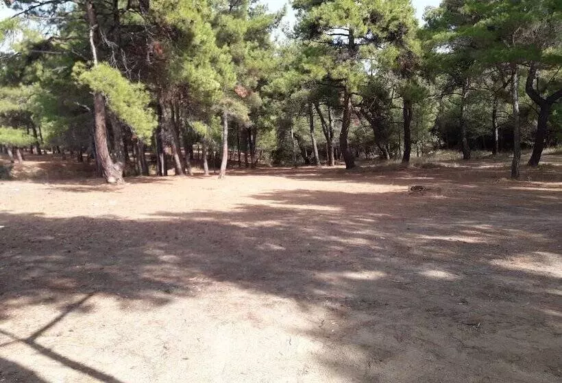 ホテル King Apart Daire