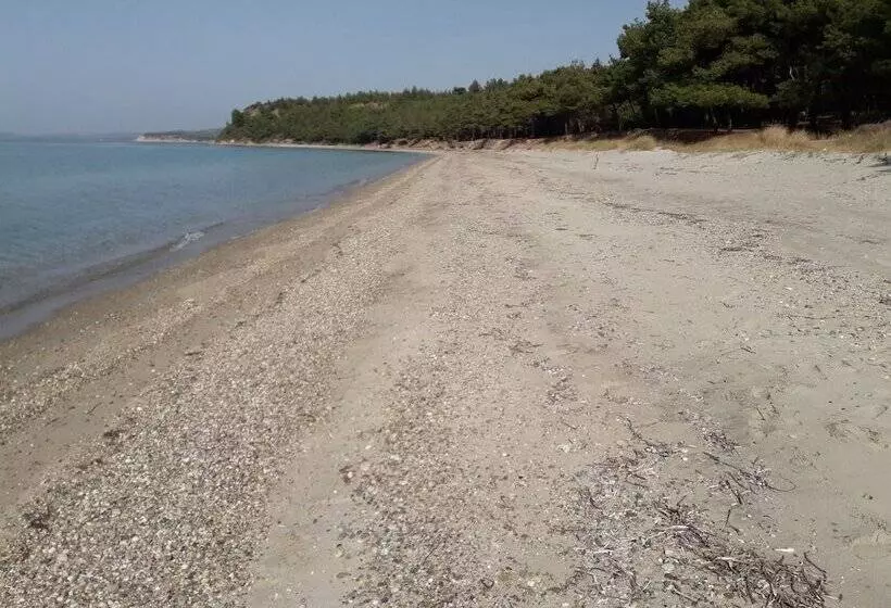 ホテル King Apart Daire