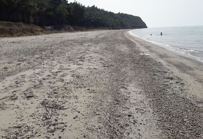 فندق King Apart Daire