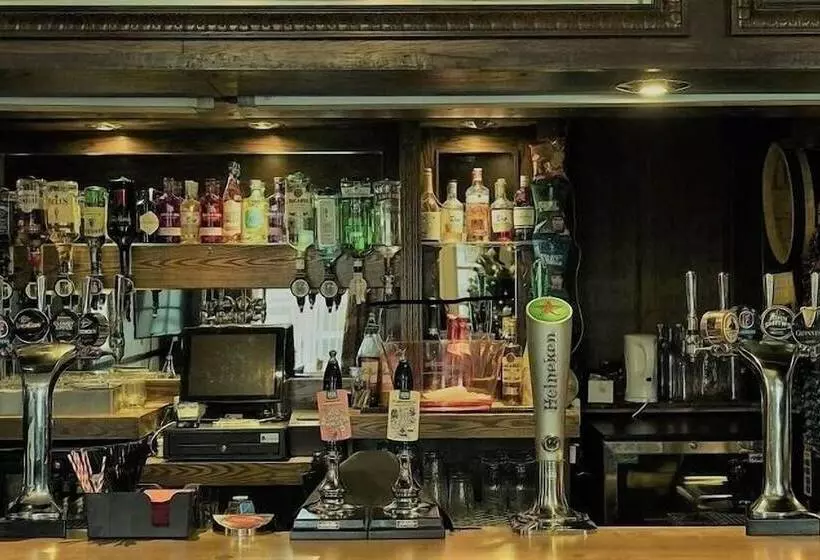 هتل The Isca Arms