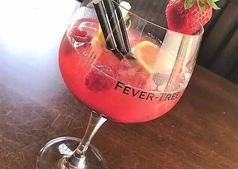 هتل The Isca Arms