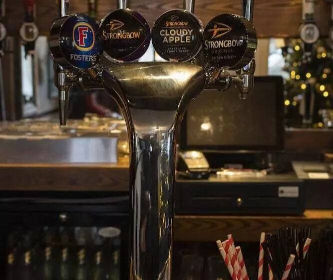 هتل The Isca Arms