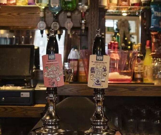 هتل The Isca Arms