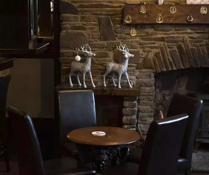 هتل The Isca Arms