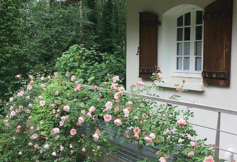 بنسيون Stang Roz House