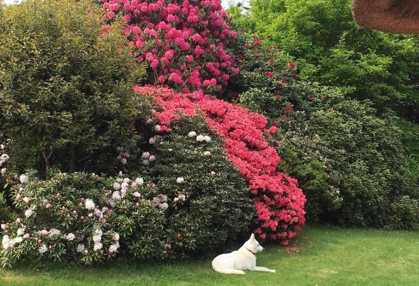 بنسيون Stang Roz House