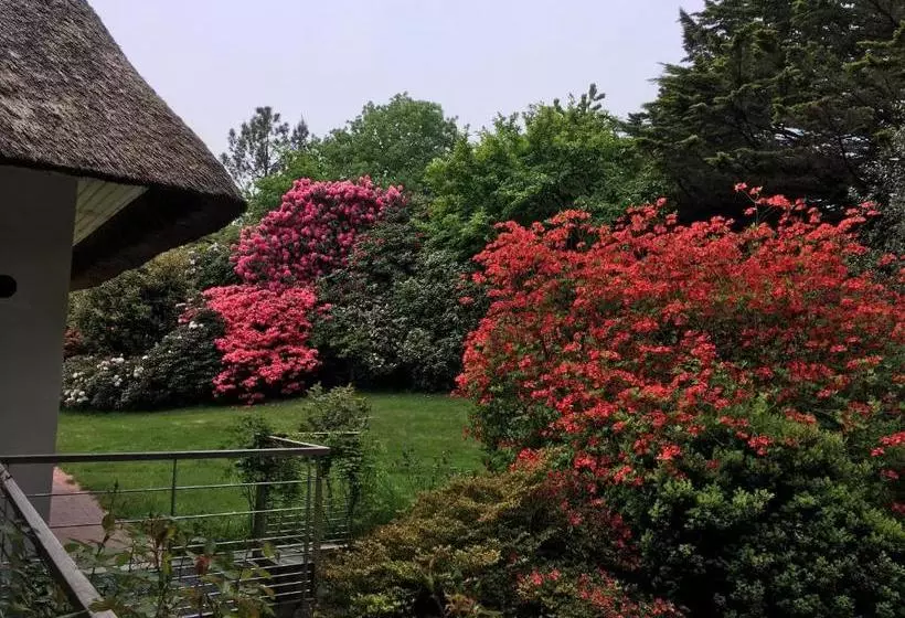 پانسیون Stang Roz House