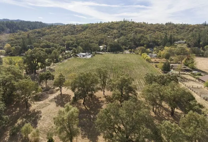 Vineyard Villa