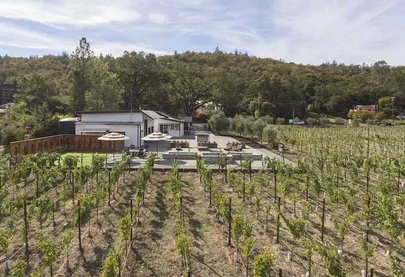 Vineyard Villa