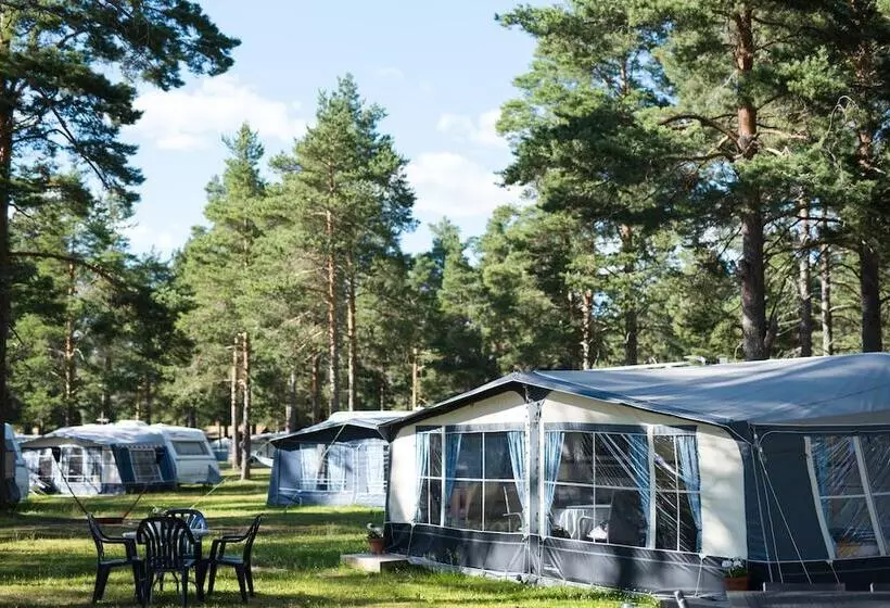 First Camp Orsa   Dalarna