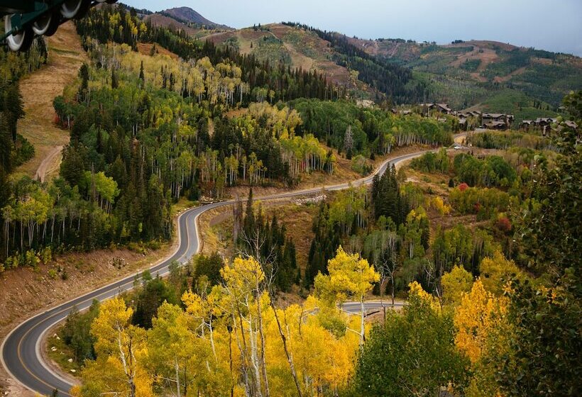 فندق Stein Eriksen Residences