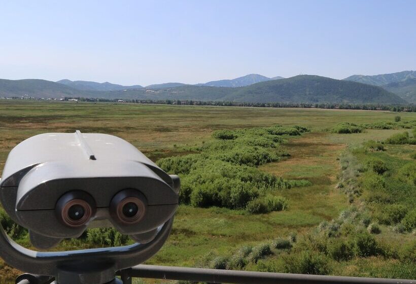 فندق Stein Eriksen Residences