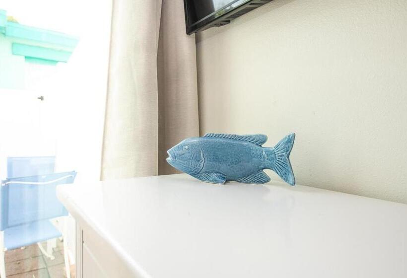 Seabreeze At Anna Maria Island Inn