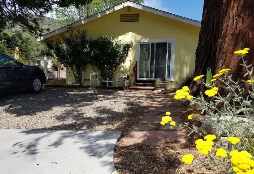 Yosemite Plaisance Bed & Breakfast