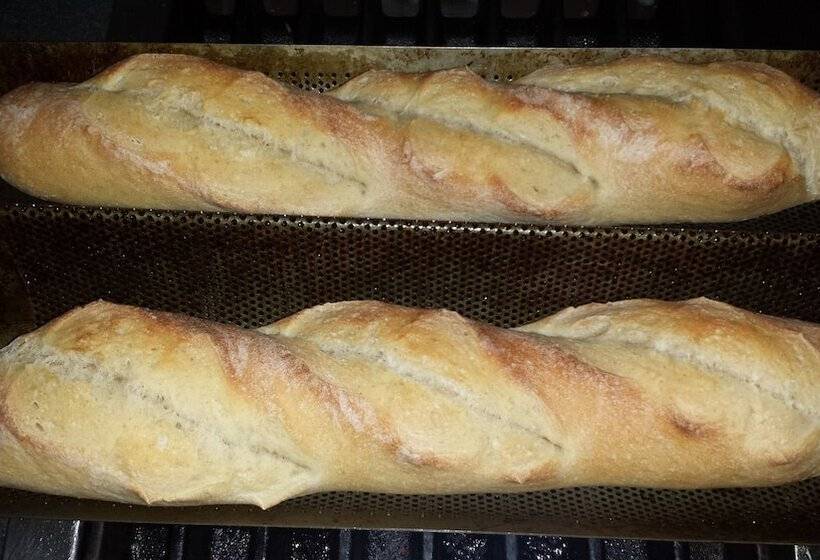 Yosemite Plaisance Bed & Breakfast