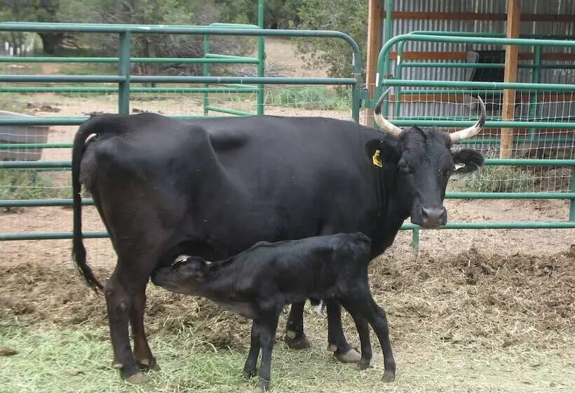 Hotelli Bear Mountain Lodge