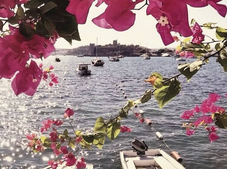 هتل Halikarnas Pansiyon