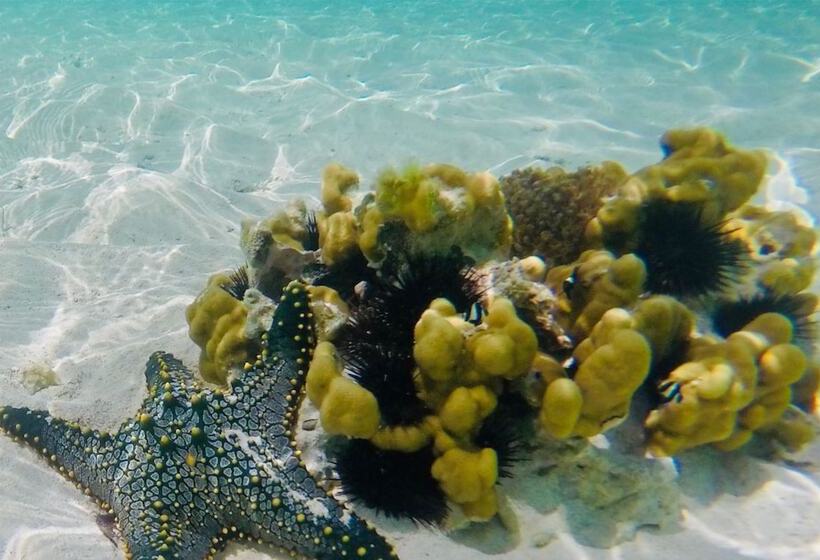 فندق Sarabi Zanzibar