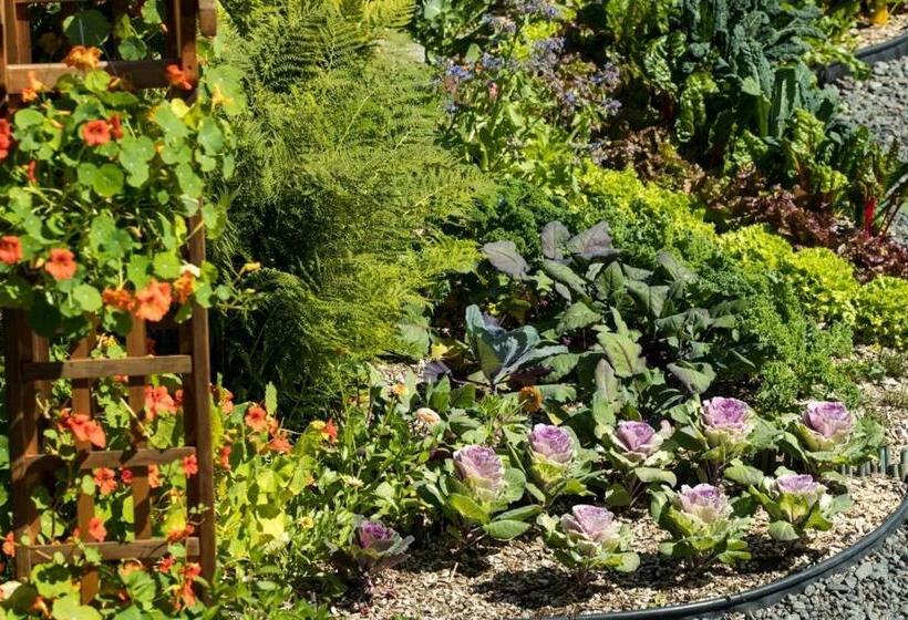 Szálloda Stillpoint Lodge   All Inclusive