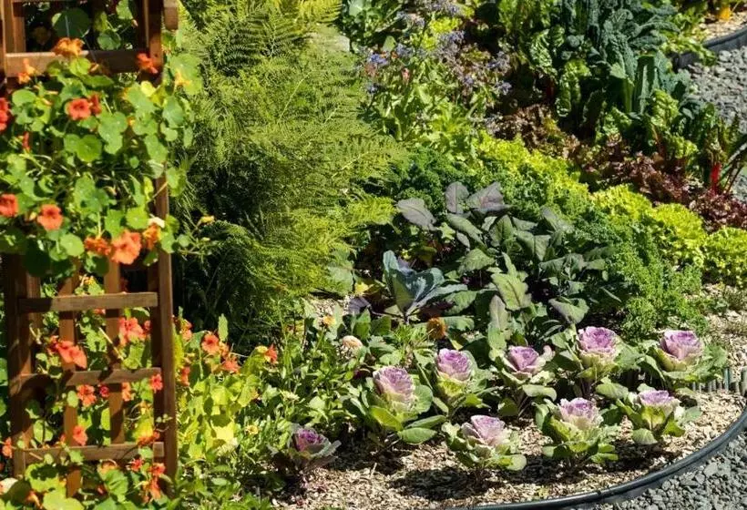 Hotelli Stillpoint Lodge   All Inclusive