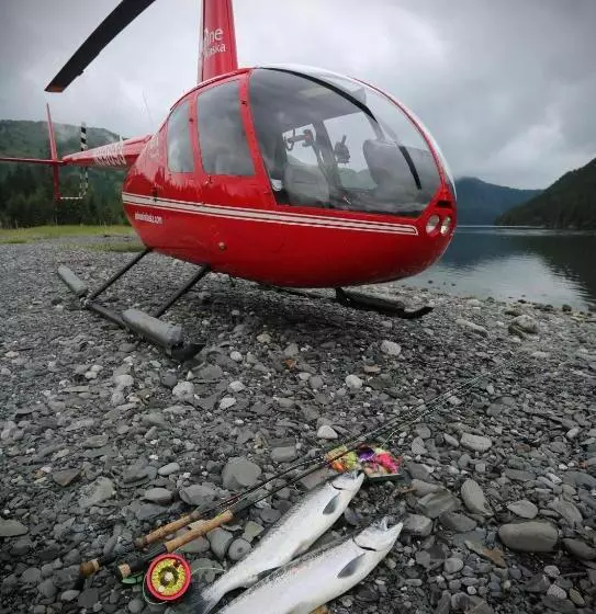 Hotelli Stillpoint Lodge   All Inclusive