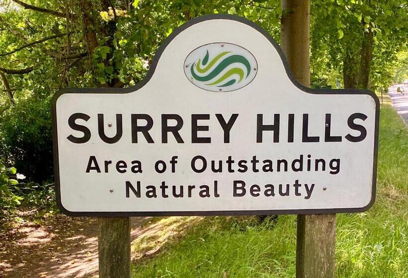 مبيت وإفطار Ranmore Rise Retreat In The Surrey Hills