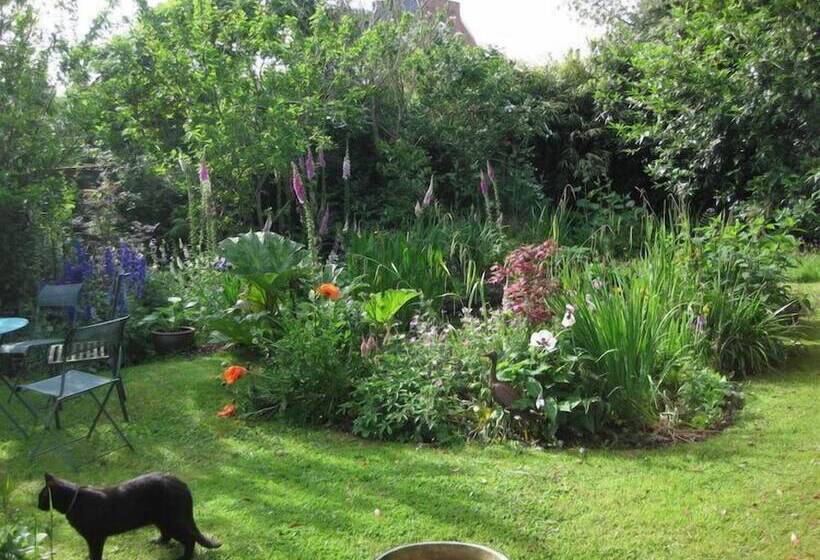 Bed and Breakfast Torridge House