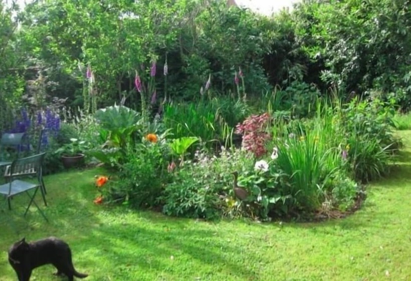 Bed and Breakfast Torridge House